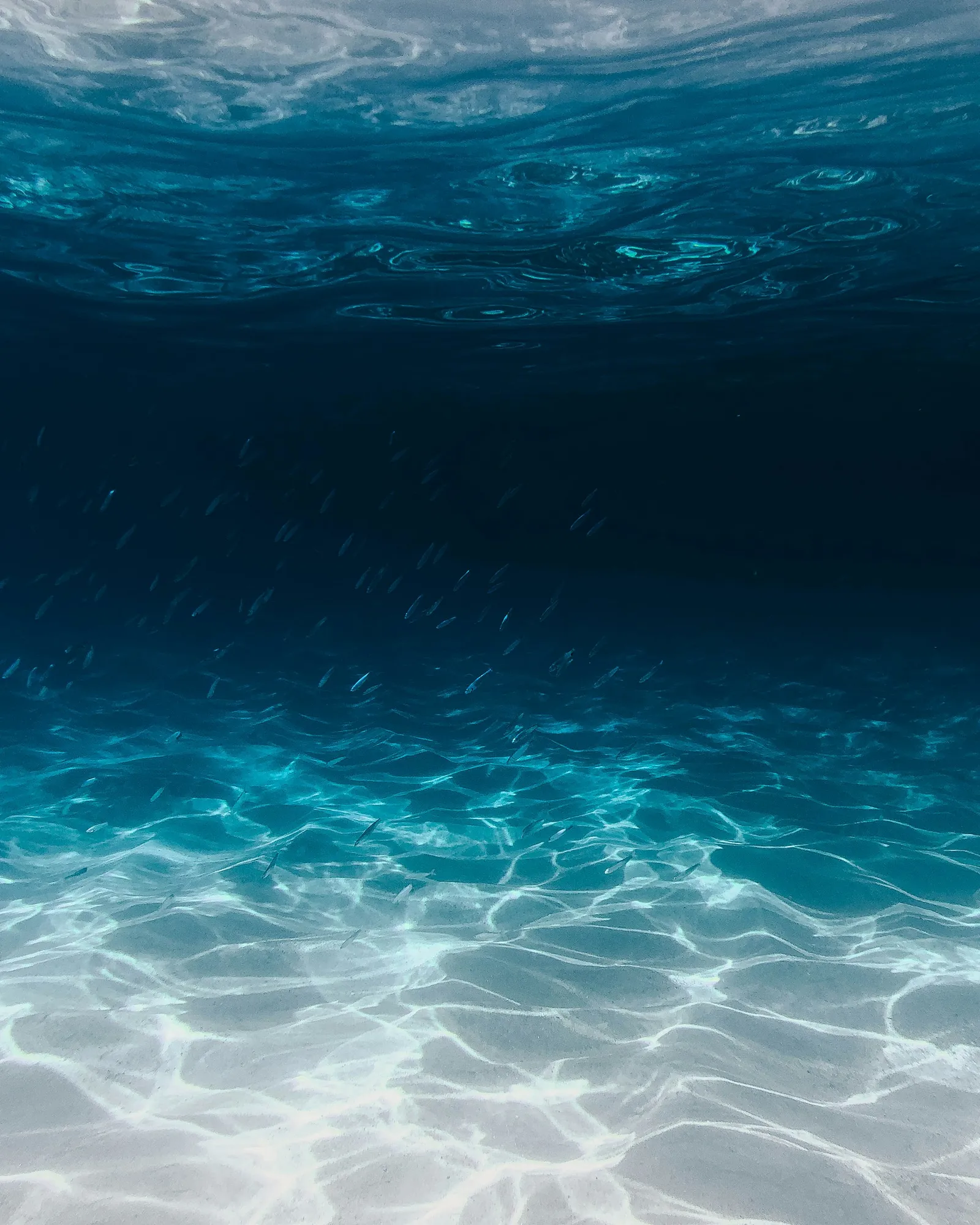 蘭嶼潛水攻略：八代灣沉船、雙獅岩與飛魚季的海 照片 1