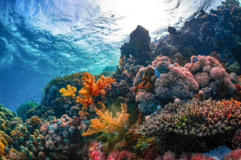 綠島